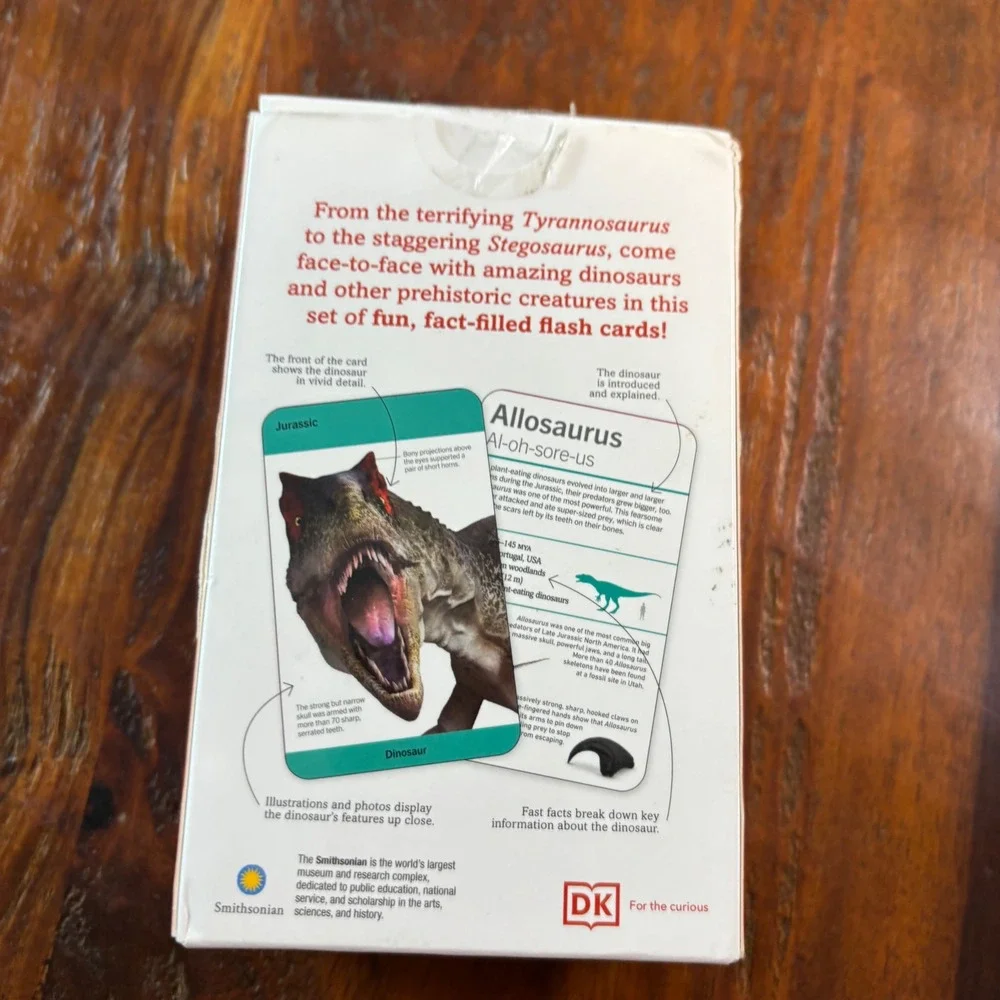 DK Smithsonian Our World in Pictures Dinosaurs 125 Flash Cards Prehistoric 2023